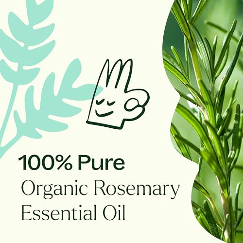 uso terapéutico de aceite esencial
