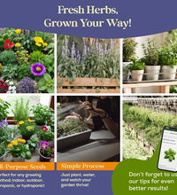 variedad de hierbas para tu jardín