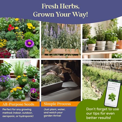 variedad de hierbas para tu jardín