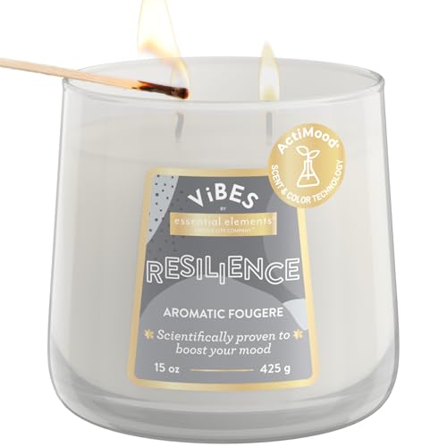 vela aromática Candle-Lite Vibes Fougere