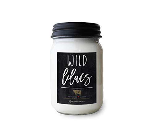 vela de soja aroma lilas