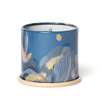 vela Illume ideal para regalar