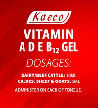 vitamina B12 en gel fácil de usar