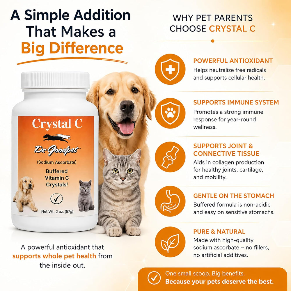 Vitamina C 4 oz Dr. Goodpet