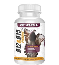 vitaminas B15 y B12 para palomas saludables