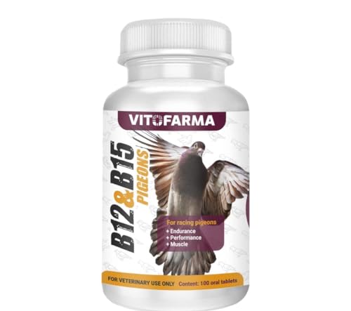 vitaminas B15 y B12 para palomas saludables