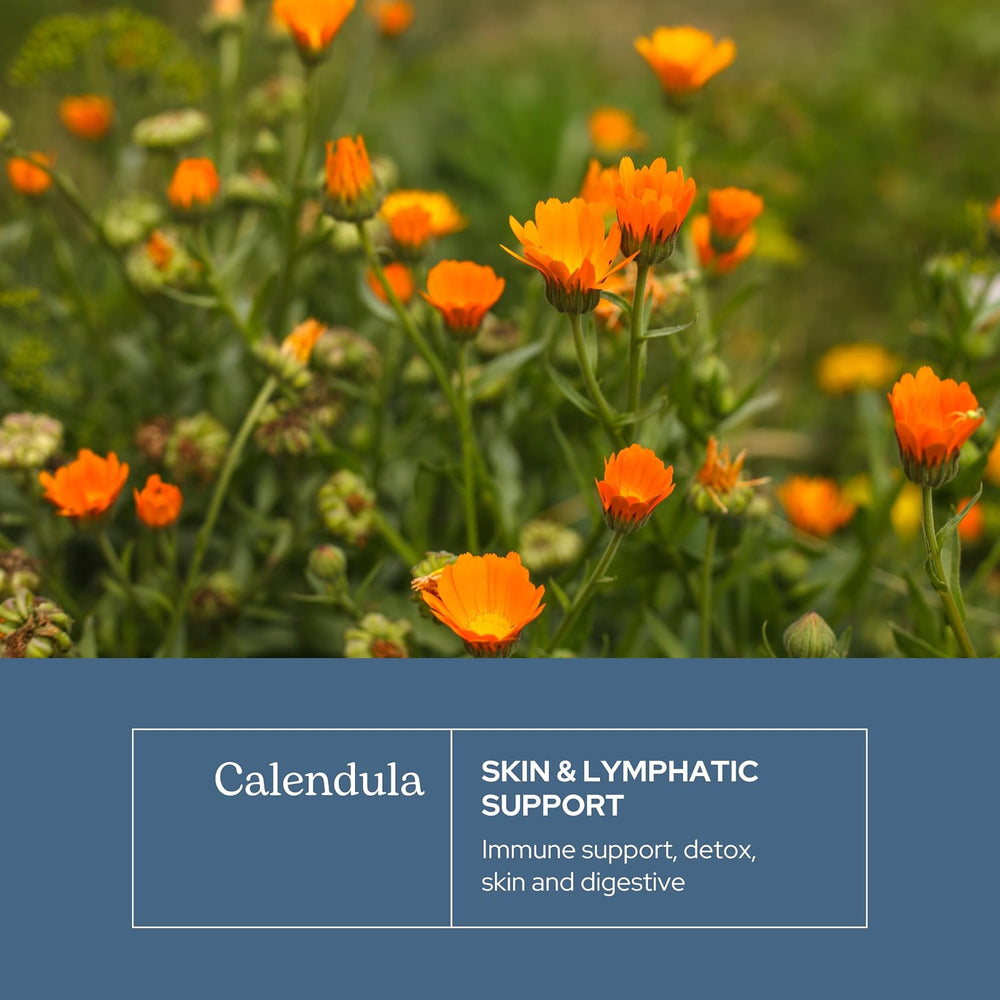 Vitaminas Caléndula Eclectic Herb