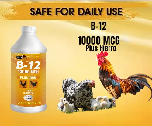vitaminas para aves saludables