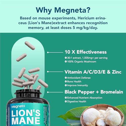 vitaminas para la salud cognitiva