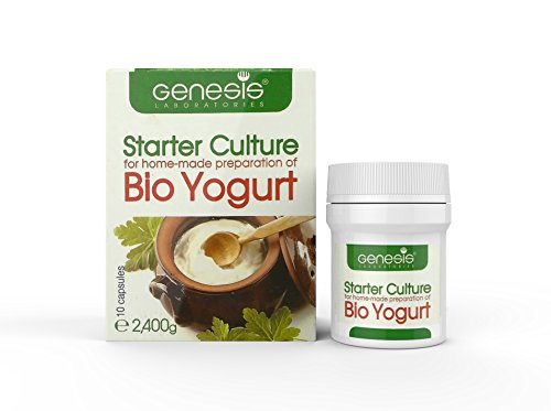 yogur casero saludable y nutritivo