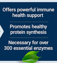 zinc Life Extension para síntesis de proteínas